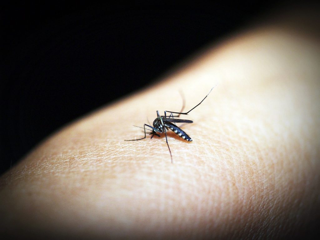 Sivrisineklere Karşı Doğal Çözümler
