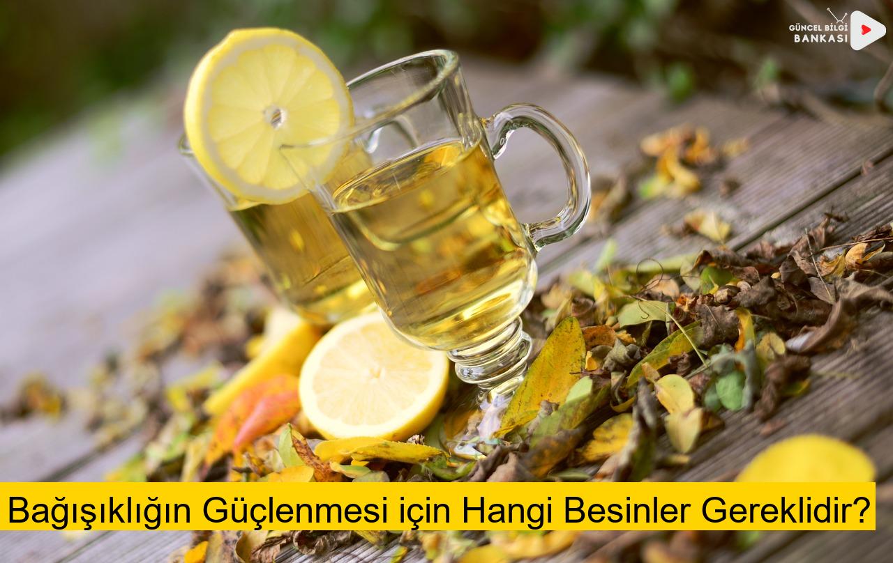 Bağışıklığın Güçlenmesi için Hangi Besinler Gereklidir?