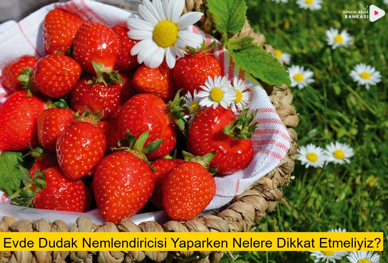 Evde Dudak Nemlendiricisi Yaparken Nelere Dikkat Etmeliyiz?