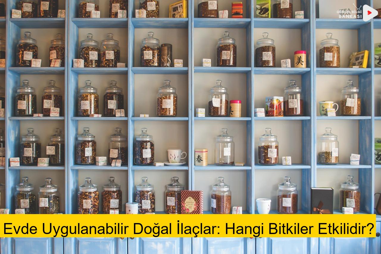 Evde Uygulanabilir Doğal İlaçlar: Hangi Bitkiler Etkilidir?