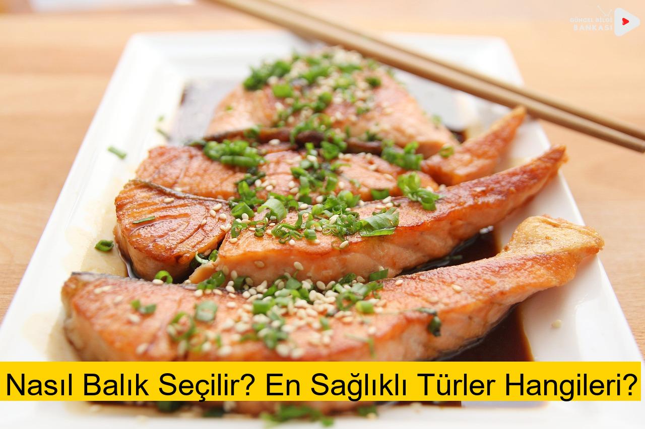 Nasıl Balık Seçilir? En Sağlıklı Türler Hangileri?