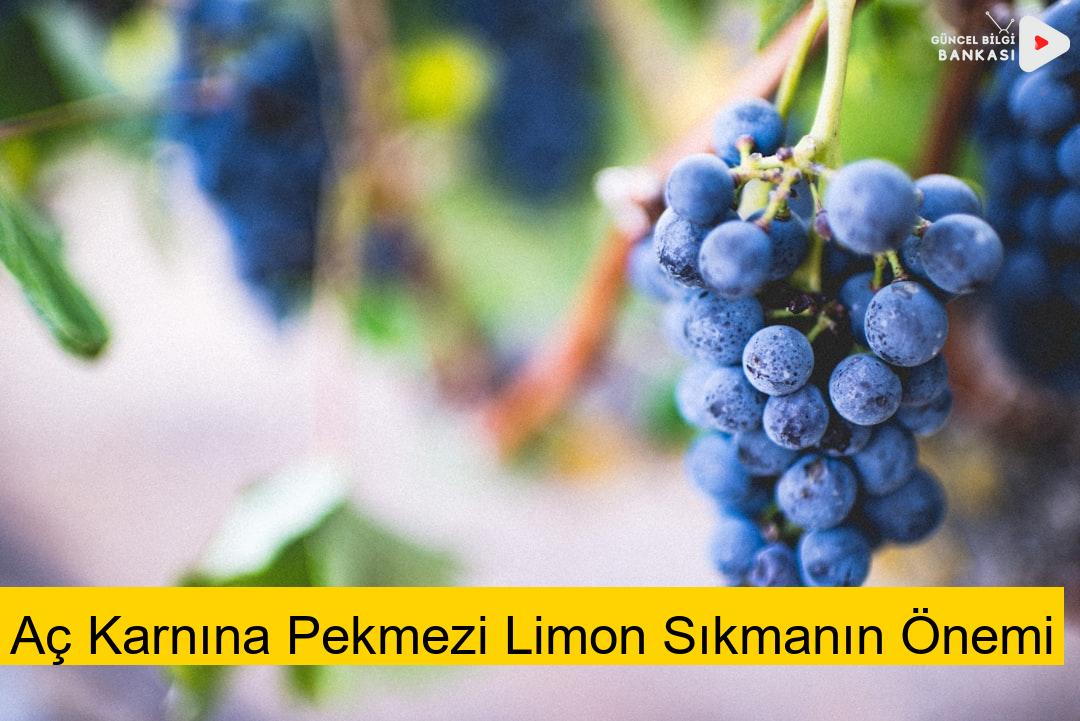 Aç Karnına Pekmezi Limon Sıkmanın Önemi