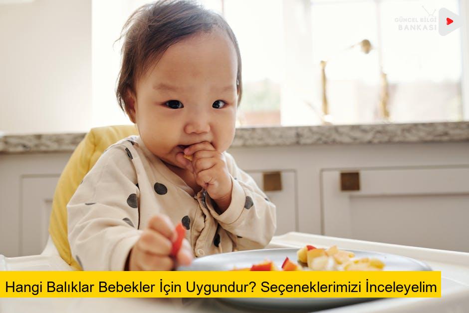 Hangi Balıklar Bebekler İçin Uygundur? Seçeneklerimizi İnceleyelim