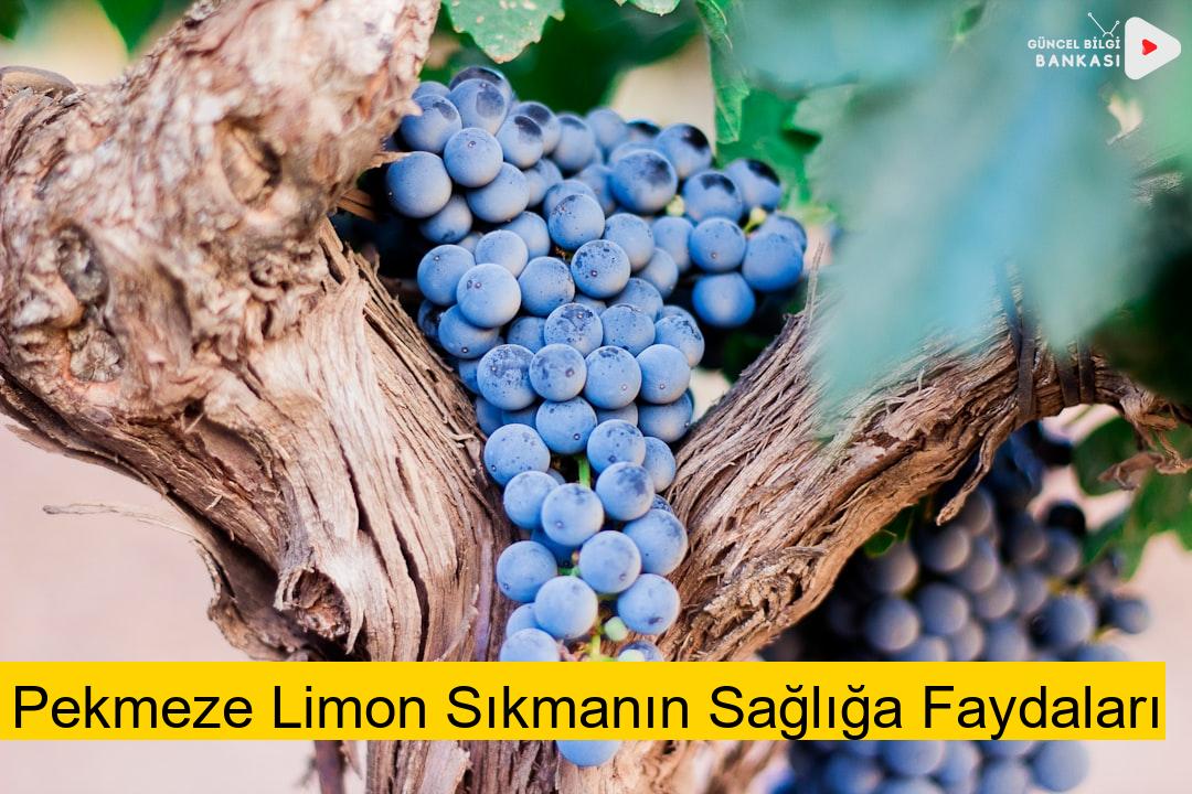 Pekmeze Limon Sıkmanın Sağlığa Faydaları